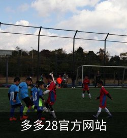 精选案例